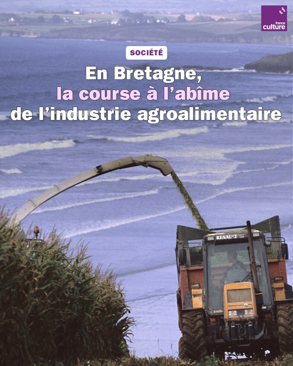 Derrière cet 'agrobusiness' omnipotent et vertigineux, il y a un monde paysan qui disparaît et un écosystème à bout de souffle. ➡️ l.franceculture.fr/61f