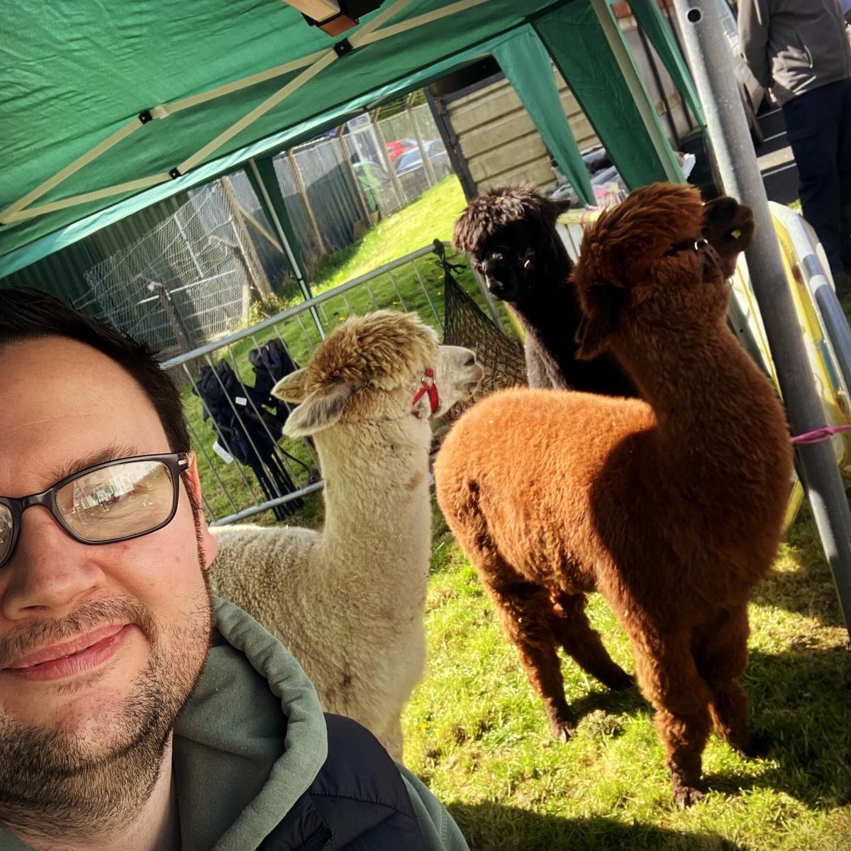 🌸 BALLYMONEY SPRING FAIR 🌸 What a day! It was absolutely amazing to see our wee toon totally buzzing today, with so much going on for the whole family, from top to bottom. The #alpacas and I had an amazing day. Huge THANK YOU to everyone involved in organising #Ballymoney