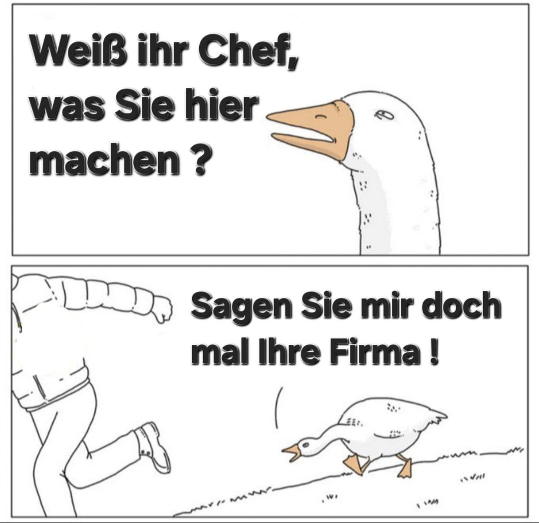 Weiß ihr Chef, was Sie hier machen ?
Sagen Sie mir doch mal Ihre Firma !
#StrackZimmermann liefert sich ein hitziges Wortgefecht mit kritischen Bürger und sorgt für einen Eklat.
#FDP #AfD #DeshalbAfD