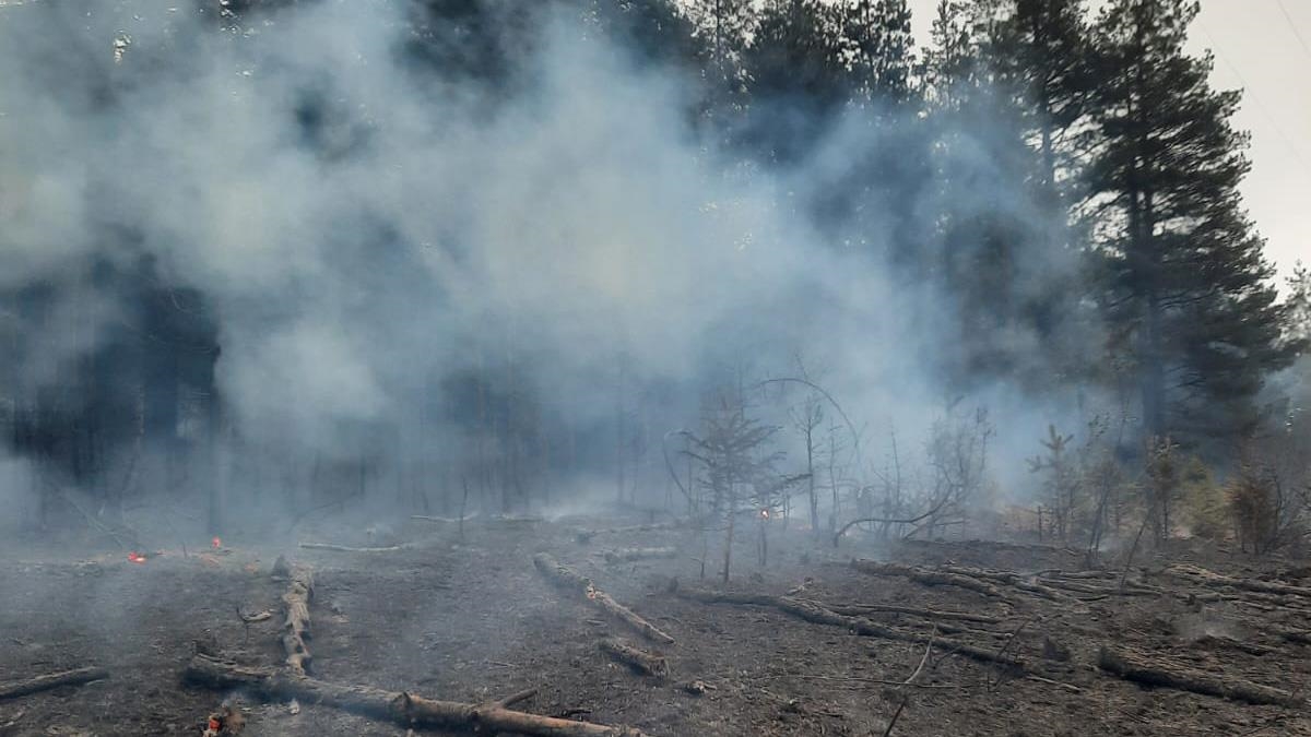 Kastamonu'da enerji nakil hattından sıçrayan kıvılcım ormanda yangına neden oldu - kulliyehaber.com/kastamonuda-en…