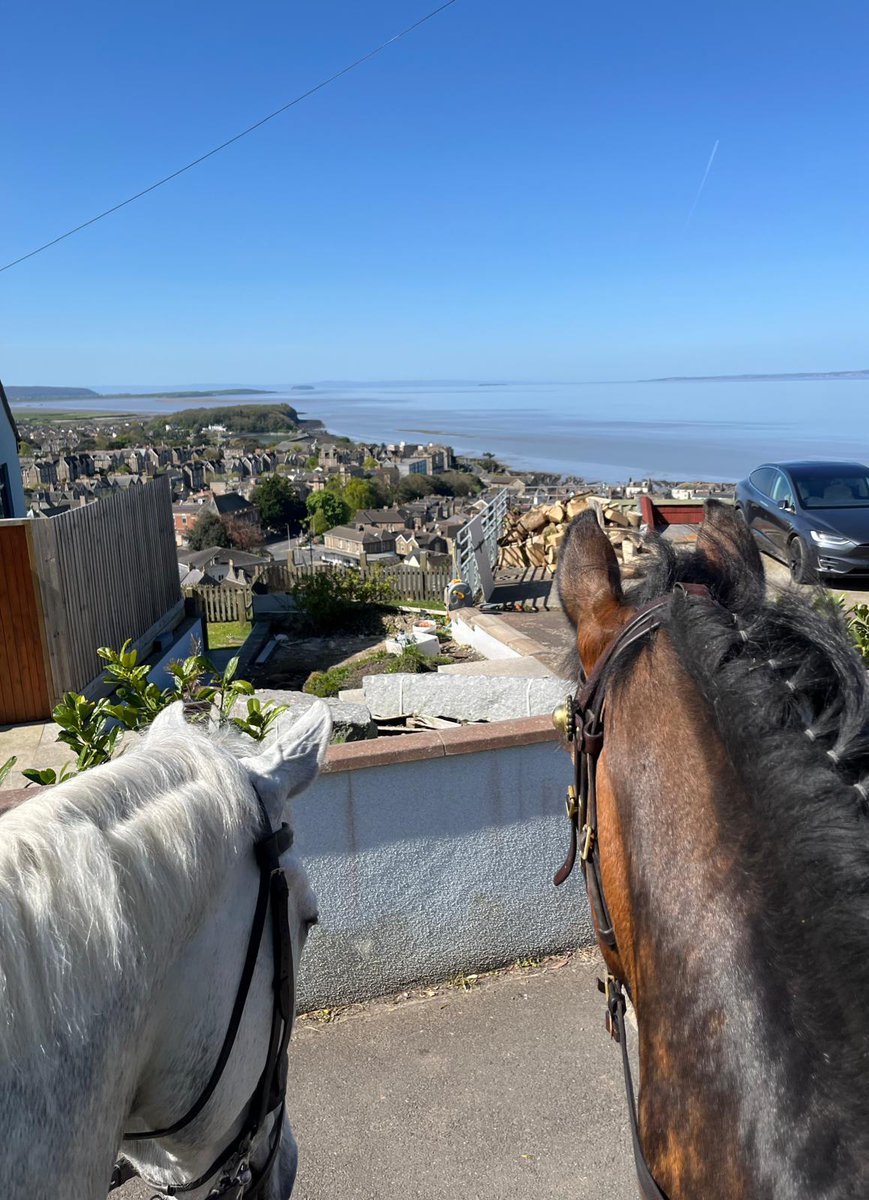 Platinum and Trinity took a moment to admire the sea view whilst on a local patrol of Clevedon today 🦄🐴 #mountedpatrols #happyhorses