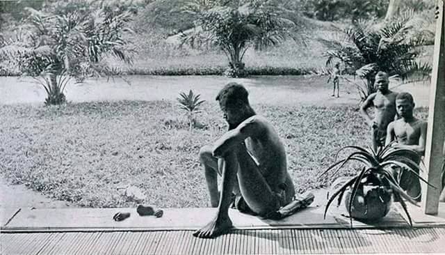 @Afunwa77329 A father stares at the hand and foot of his five-year-old daughter severed as a punishment for failing to make the daily rubber quota, Belgian Congo, 1904.  
The man’s name was Nsala. We must not Forgive any1 who did this to our ancestors.
#WakeUpAfrica