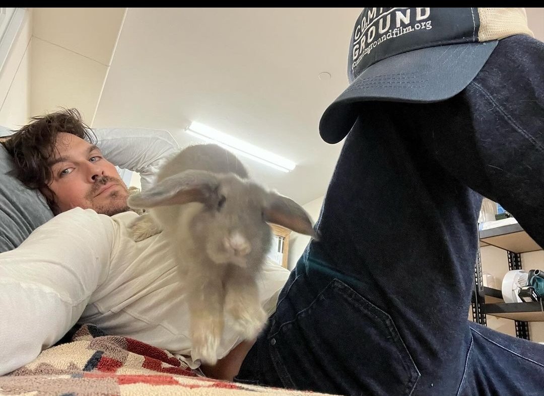 Mmmm conejo 🐰#IanSomerhalder