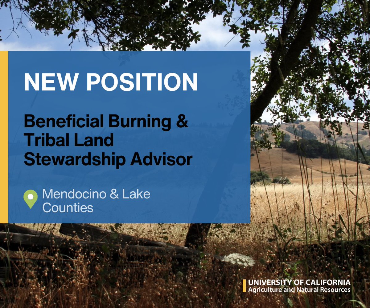 ucanr's tweet photo. We seek a Beneficial Burning and Tribal Land Stewardship Advisor based at @HoplandREC. The Advisor will partner with Tribes and Tribal-led organizations to co-create research and extension programs. #hiring 
➡️ https://t.co/n7iQQgxFXp https://t.co/fNb8lMW0Ww