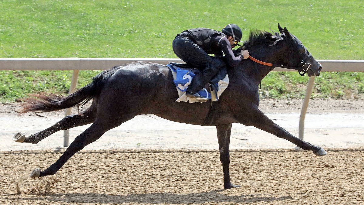 🏇 Entries are OPEN for the Midlantic June 2YO Sale! #FasigMD

Enter now 👉 fasigtipton.co/clientportal