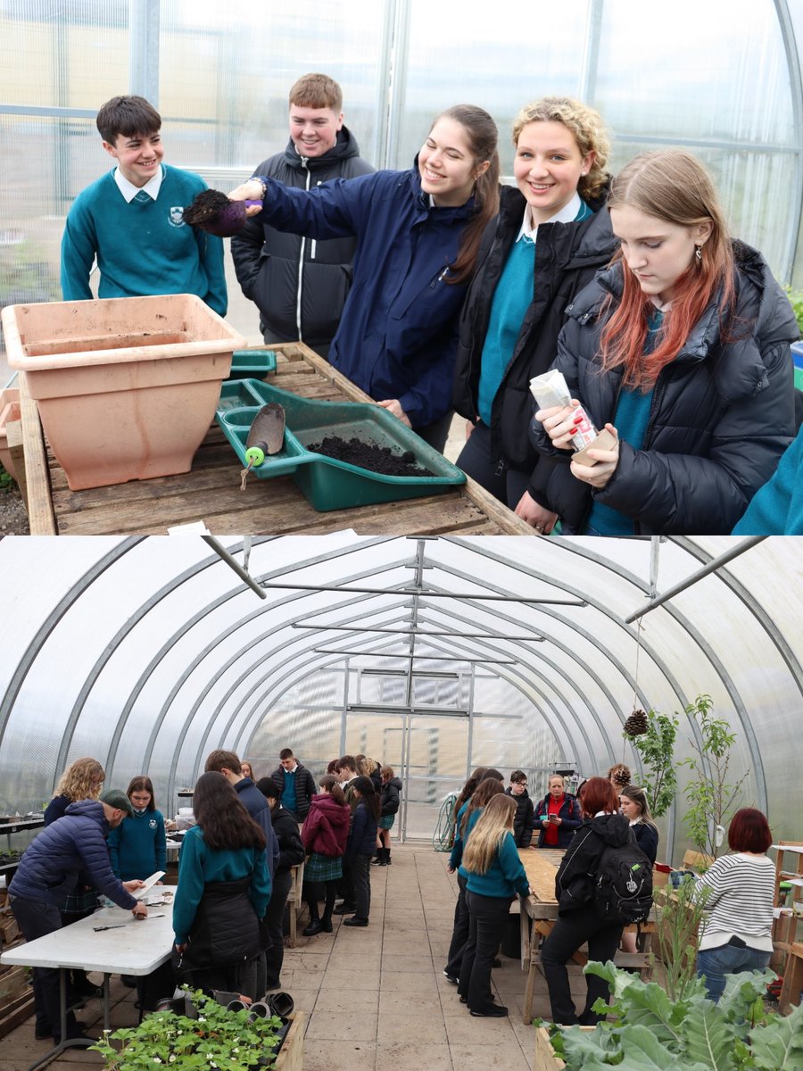 @ColDunIascaigh Greenschools trip to Tramore last Friday. We visited Ardscoil na Mara in Tramore and were introduced to their sustainability programme then had a beech walk as part of the work on our Marine flag. @TipperaryETB