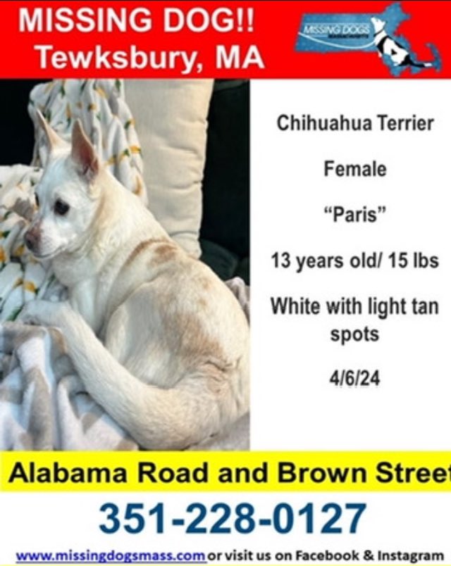 Paris is still missing from Alabama Rd @ Brown St., Tewksbury. Last seen in the area of Ruby’s Way & Wolcott St. on 4/9. She is very skittish and not familiar with the area. DO NOT chase or call out to. Call the numbers on flyer or Animal Control with any sightings. 978-215-9639