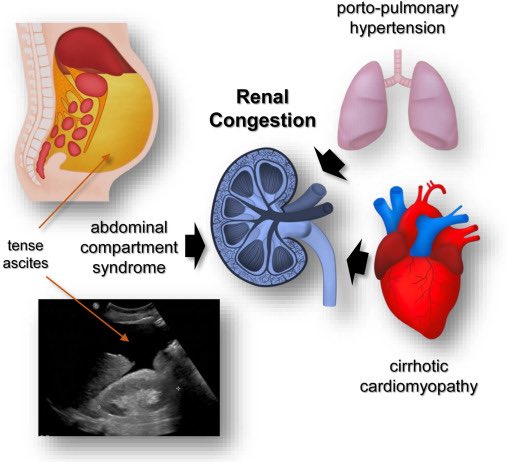 Juan Carlos Q Velez tweet media