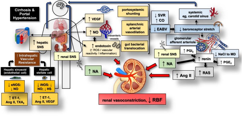 Juan Carlos Q Velez tweet media