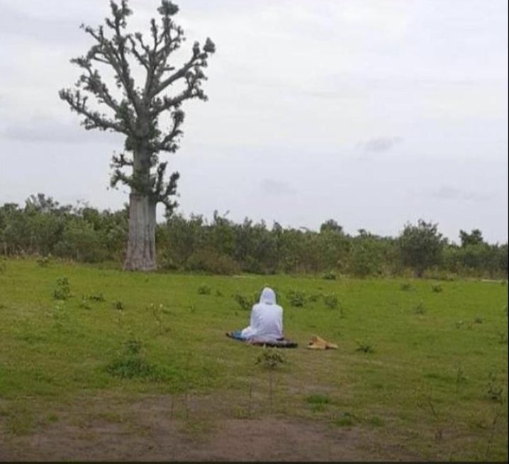 "L'individu ne possède de son vivant que 5 choses: la fortune, le corps, l'os, l'action, l'âme
Quand il meurt Dieu partage la fortune entr les héritiers et leur dit" Remercier moi car c'est moi qui vs a donné celle-ci. Puis Il donne le corps aux vers de terre,les os reviendront⤵️
