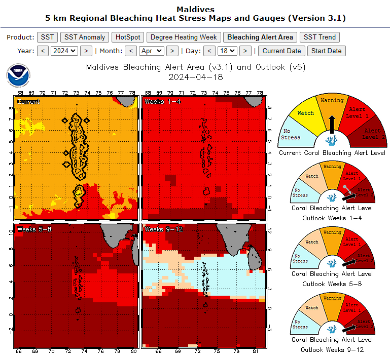 @NOAACoral #coralbleaching outlook for #Maldives for the coming weeks looks seriously bad.
It's very unfortunate @governmentmv authorities are unaware or ignoring scientific data and the reality of extreme heat stress on our reefs.
@MoCImv must #ActOnClimate & stop dredging NOW!
