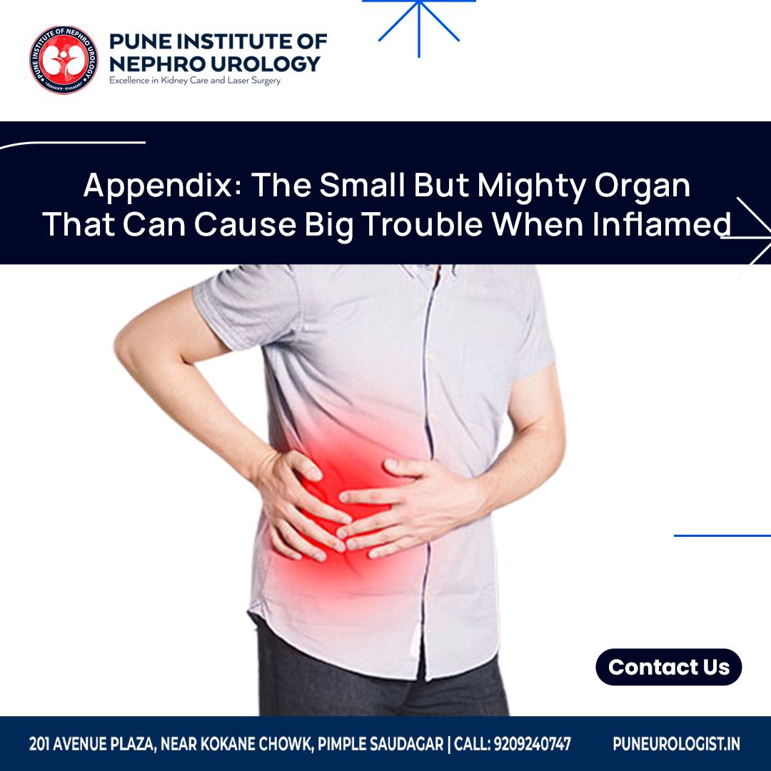 pune_institute's tweet photo. The appendix, a small but mighty organ, can cause significant trouble when inflamed.

🌏https://t.co/gV0XZcXUbD
📲 9209240747
📍https://t.co/AyU5Prjxti
✉ info@puneurologist.in

#Appendicitis #AbdominalPain #EnlargedProstate #ProstateIssues #UrologyTreatment #HealthCareServices https://t.co/Q1mo0OmyS0