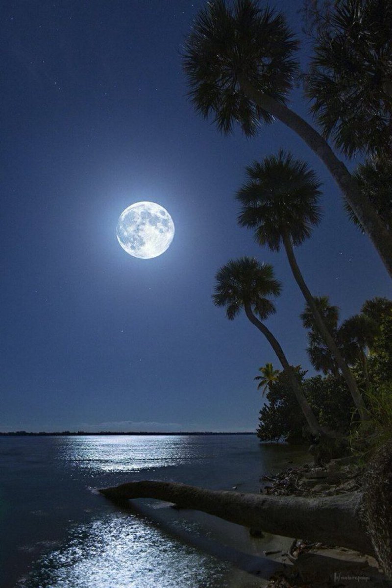 M1ONLOVER's tweet image. Ocean moon.