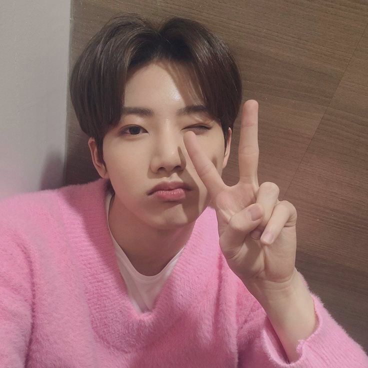 ㅤ   
              
         🎀— SUNNY! not new to rp. REVAMPING. 

          pls like ╱ rt to be friends! 

ㅤ