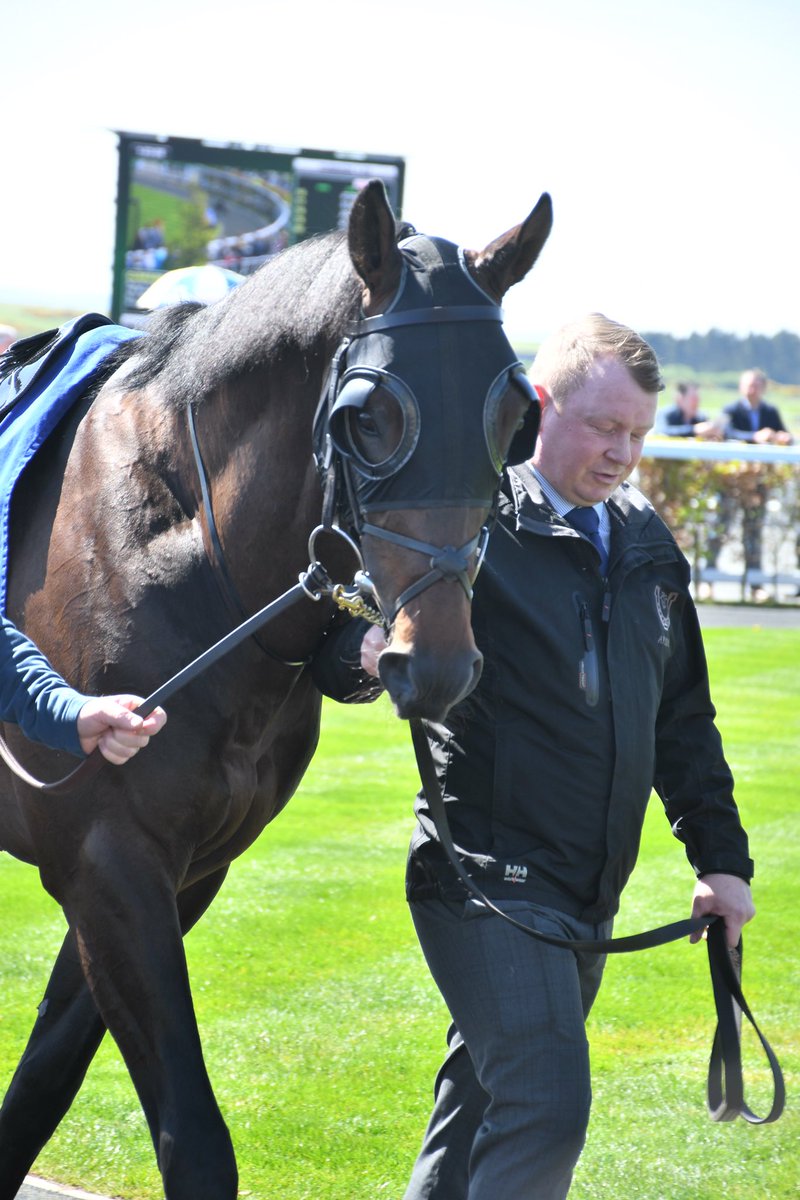 Igor Stravinsky trained by @Ballydoyle The Curragh 20/4/24 @aobrienfansite