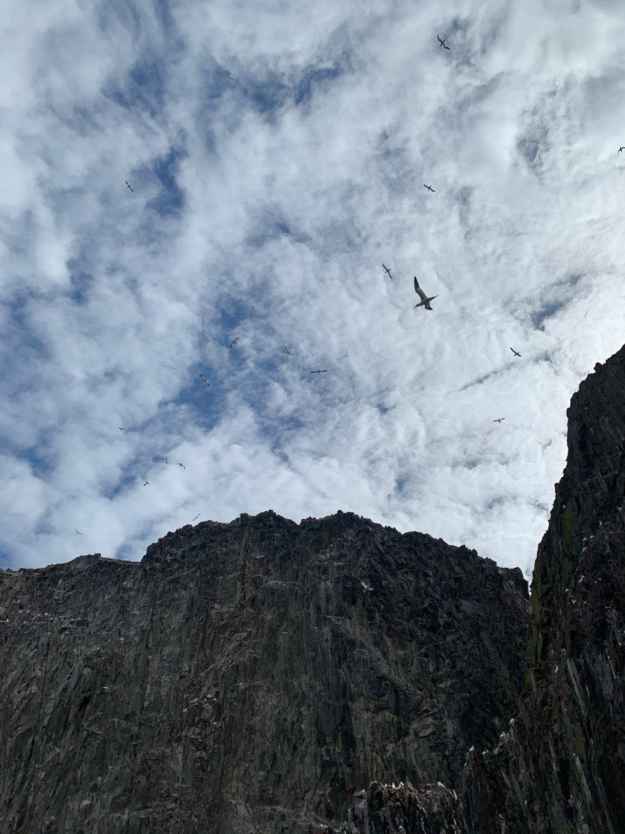 Wonderful RIB trip out to North Berwick’s Bass Rock this morning thanks to @SeabirdCentre and our wonderful guide Kevin. The gannets and puffins were spectacular. Highly recommended #NorthBerwick #BassRock