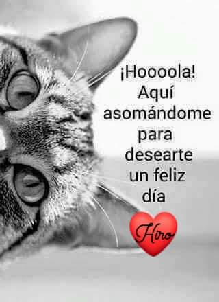 @VITORIABLANCOP1 Buenas tardes Victoria 😘