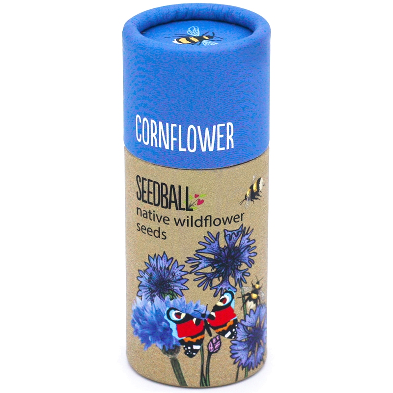 Brilliantly blue British cornflowers. These iconic and distinctive flowers are fantastic for bees, beetles, butterflies and moths, and are a simply marvellous addition to any wildlife garden.
seedball.co.uk/product/cornfl…
#cornflower