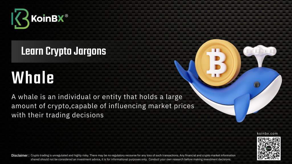 KoinBX's tweet photo. 💡Learn crypto jargon with KoinBX! Expand your knowledge and stay ahead in the world of crypto.
#KoinBX #crypto #cryptomarket #whale #cryptojargon #KoinBXian https://t.co/YXRB0l7Z4z