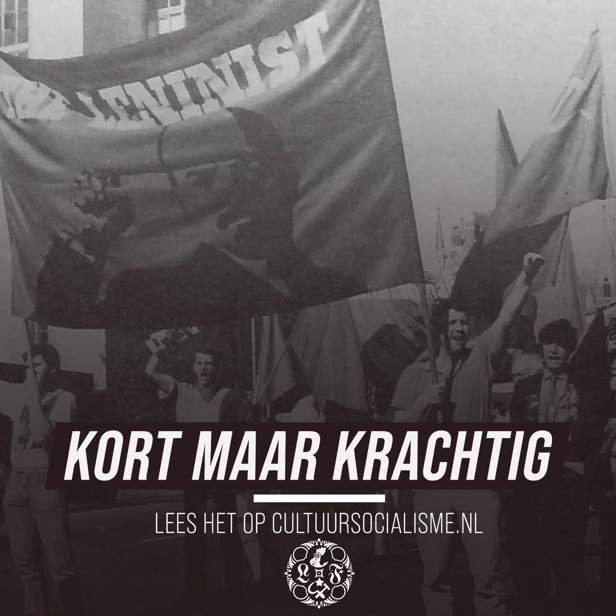 In een vertaalde open brief aan de Communist Party of Great Britain beargumenteert Sterre Wichelaar tegen te veel beleidseisen in een beginselprogram, als ze niet naar het doel van het programma toewerken.

Lees het hier: cultuursocialisme.nl/2024/04/04/kor…