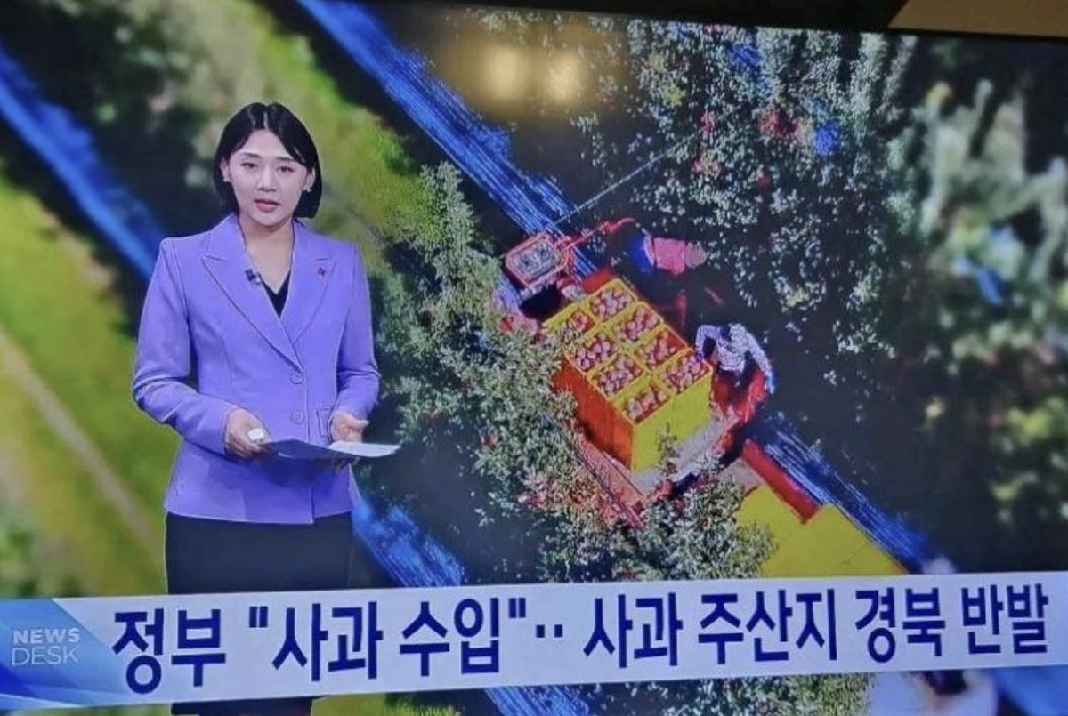 경북사시는 분들. 그러게 투표를 좀 잘 하지 그러셨어요.