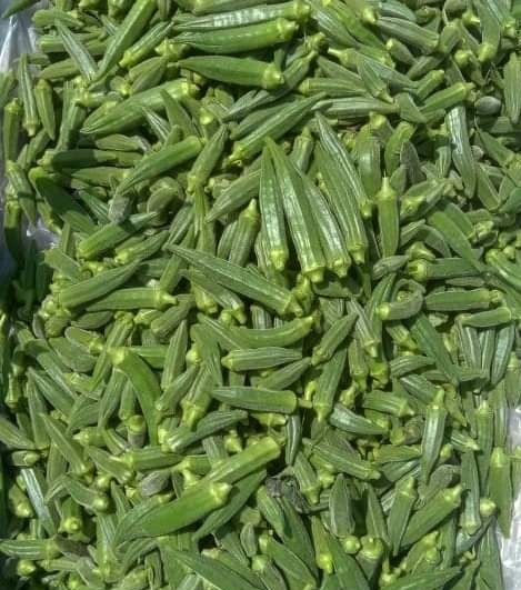 What do you call this in your language ?
#런쥔이왔당 #BitcoinHalving2024