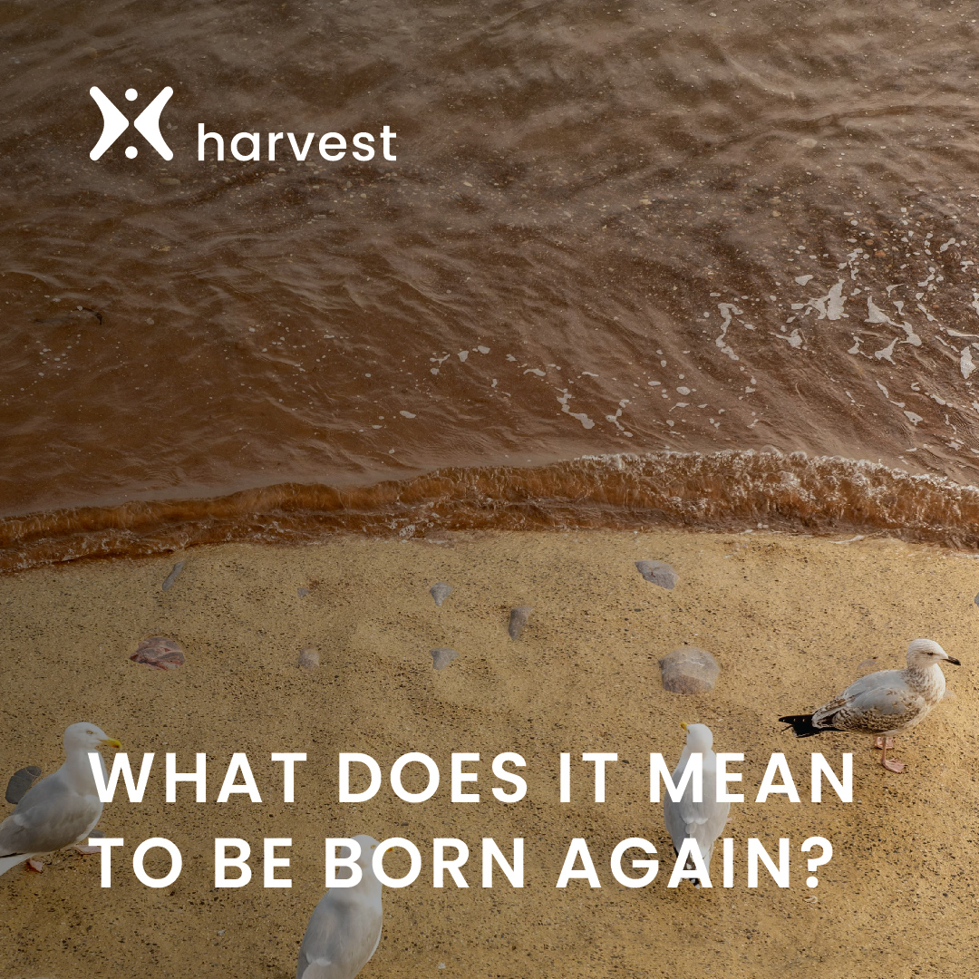 The term “born again” is an important one, and Jesus tells us why: “Unless you are born again, you cannot see the Kingdom of God.' Continue today's devotion at hubs.la/Q02tn5Wv0