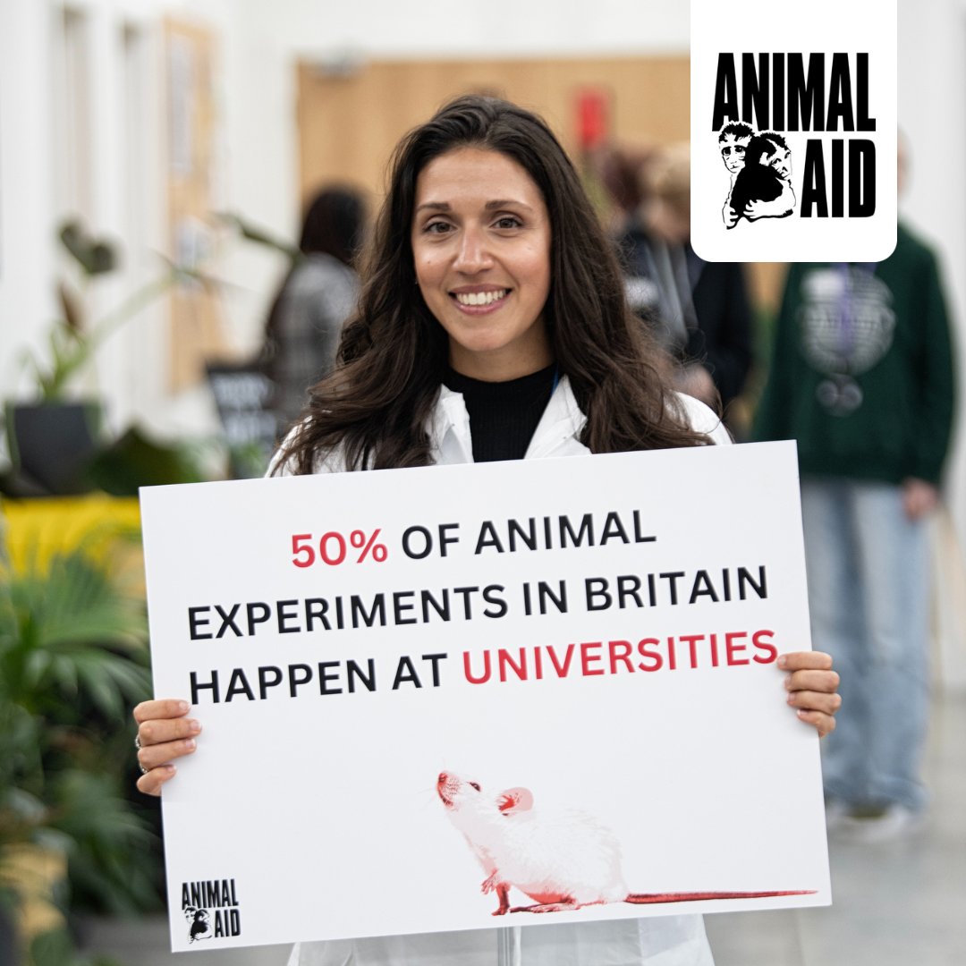 Why are universities teaching old-fashioned science? Animal-free testing is more reliable and safer for humans – much better all round! Find out which universities still test on animals: universitieschallenged.co.uk 🐭 #EndAnimalTesting #WDAIL #BetterScience #UniversitiesChallenges