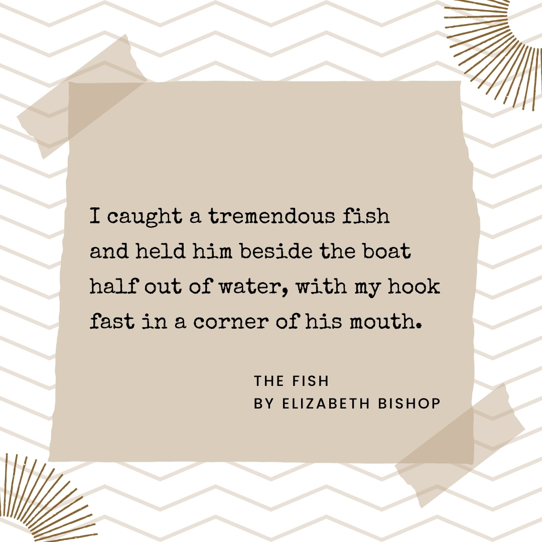 PoemAnalysis's tweet image. A rainbow of scales, a glimpse into life's resilience, 'The Fish' by Elizabeth Bishop paints a vivid picture of a moment's triumph. 🐟🌈 Dive into Bishop's masterpiece at poemanalysis.com.

#ElizabethBishop #TheFish #PoeticBeauty #Poems #PoemAnalysis #NationalPoetryMonth
