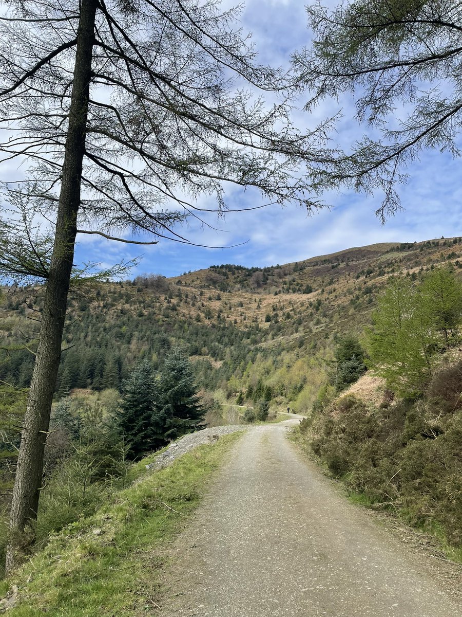 cawthornejen's tweet image. More kms today as part of my #bigstepchallenge to walk 300km in April to raise funds for @PeepsHie   If you would like to sponsor me to support the fantastic work Peeps do the link is justgiving.com/peeps-hie