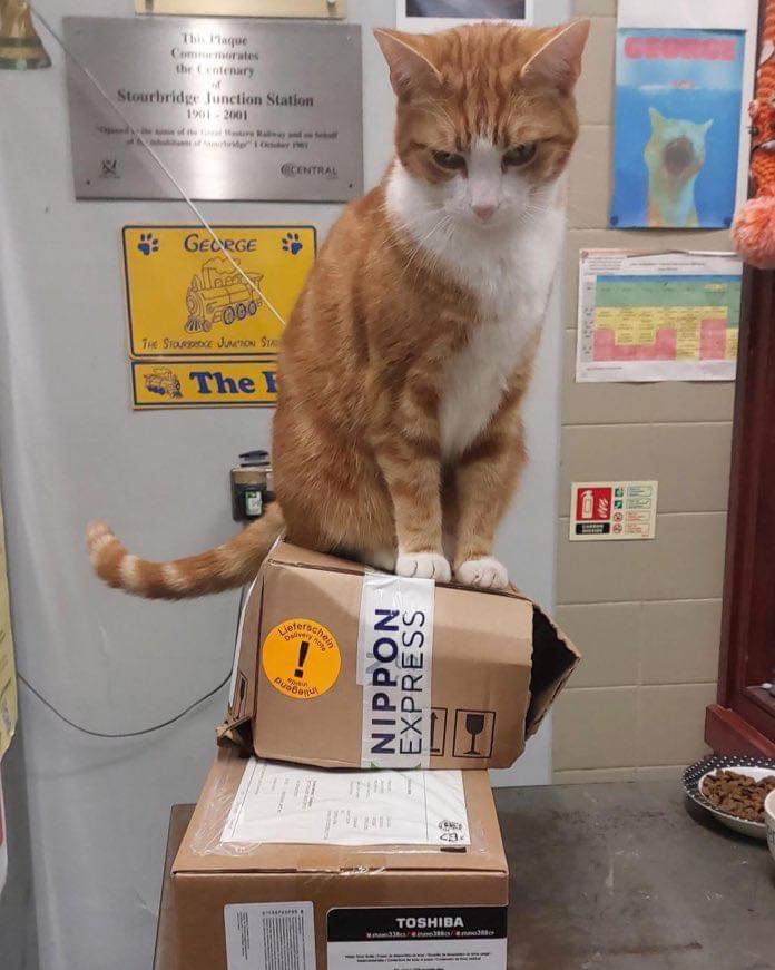Nala, Stourbridge station cat ei luovuta paketteja ilman nameja. 😸