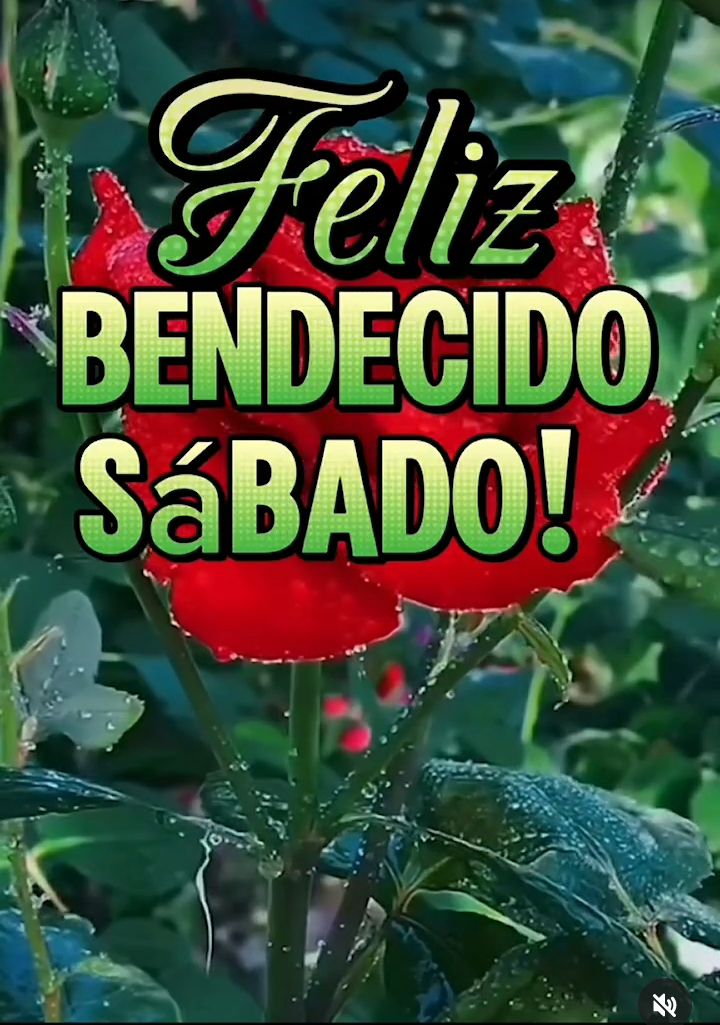 Feliz y bendecido Sábado amigos...