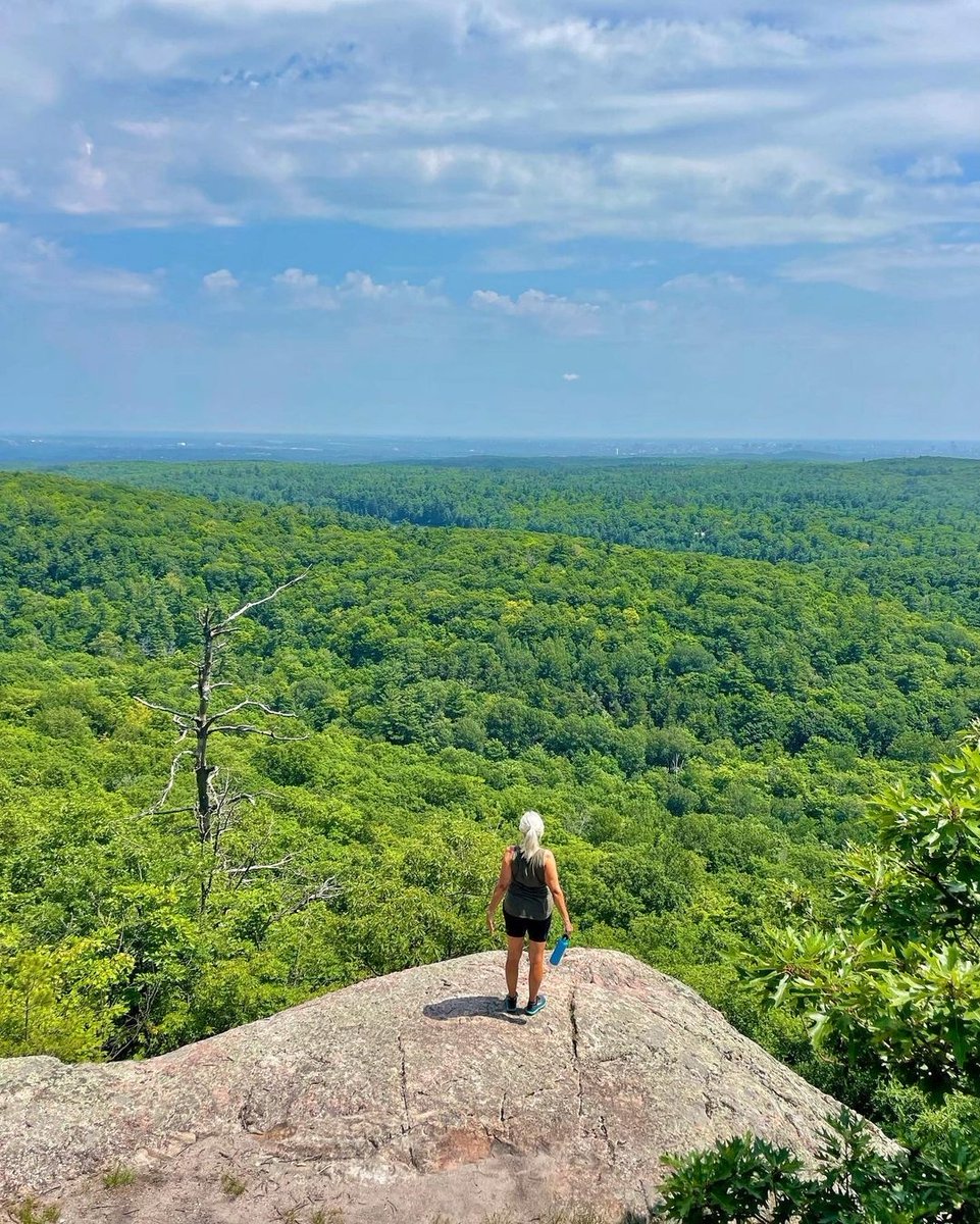 CCN_ParcGat's tweet image. 💧 Éviter les sentiers détrempés en faisant demi-tour

⚠ Les sentiers de vélo de montagne du Camp Fortune ne sont pas encore ouverts

Détails : ccn-ncc.gc.ca/endroits/print… | #ottvélo #vélogat #gatineau

📷 boubikes