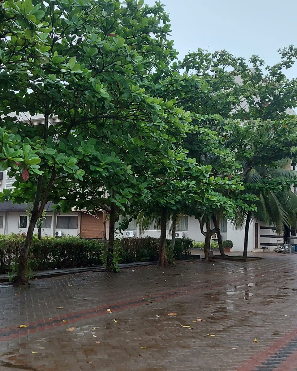 ಮೊದಲ ಮಳೆ 🌧🌧 ❤ Finally we got our first rain to beat the scorching heat 🌧 #kundapura #rains