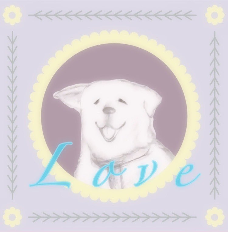 明日は東京で秋田犬の展覧会❗️ おやすみなさい #hachiko #akita #loveandpeace #ハチ公 #秋田犬 #NoWar #ゆめちゃん