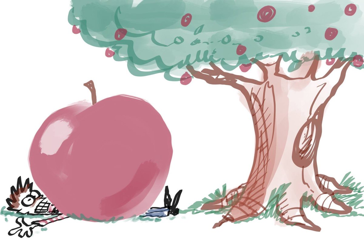 drmaypole's tweet image. Working on #SystemTransformation? Good for you! Go for the low hanging fruit...just be sure that it won’t drop on you and kill you. #BeBold carefully. Go #implementationscience!