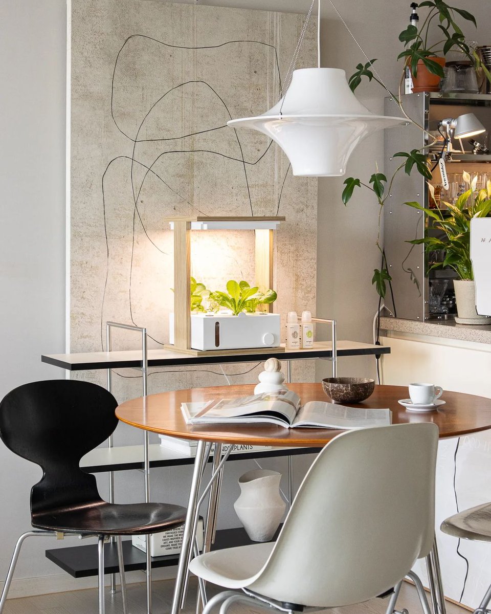 Mother's Day Special: 🎁A Heartwarming Surprise! Fresh Herbs at Your Fingertips for Culinary Delights! 
Extra 20% Off! 🌿

Use code VEGGROOM20

veggroom.com/verda-garden-m…

#indoorgarden #gardening #homegarden