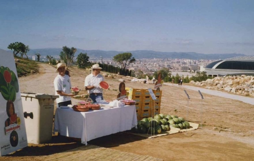 VivesPere's tweet photo. @eferrerpont1 @museuciencies @IBB_botanic @giselaloran @ParcsplatgesAMB @AmicsMCNB @galanthusnatura Recordo a les Festes de la Mercè 1994 en la festa Tast de la Natura,  imaginant com havia de ser el jardí, que després va esdevenir realitat...molts records, feliç quart de segle. https://t.co/nf2hGcRYnE