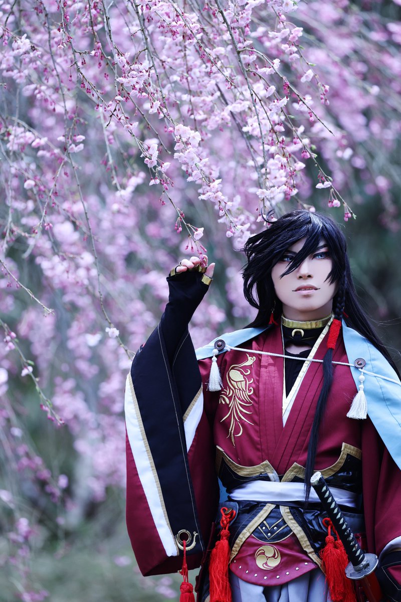 【cos】刀剣乱舞/和泉守兼定

¯
¯
¯

            ───   桜狩

¯
¯
¯

📷ZED（<a href="/Ayurin46491zed1/">ZED</a> ）