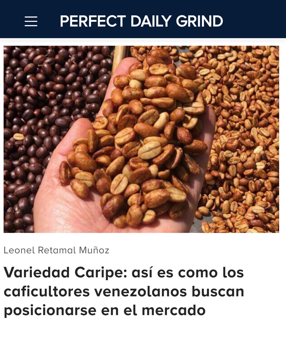 caripevirtual's tweet photo. En un mundo donde el café es mucho más que una bebida, Perfect Daily Grind se destaca como un faro de conocimiento y pasión por este cultivo tan significativo. Está semana publica este excelente artículo sobre nuestra Variedad Caripe. https://t.co/eVGrpKBhlk https://t.co/abzZEZ6osu