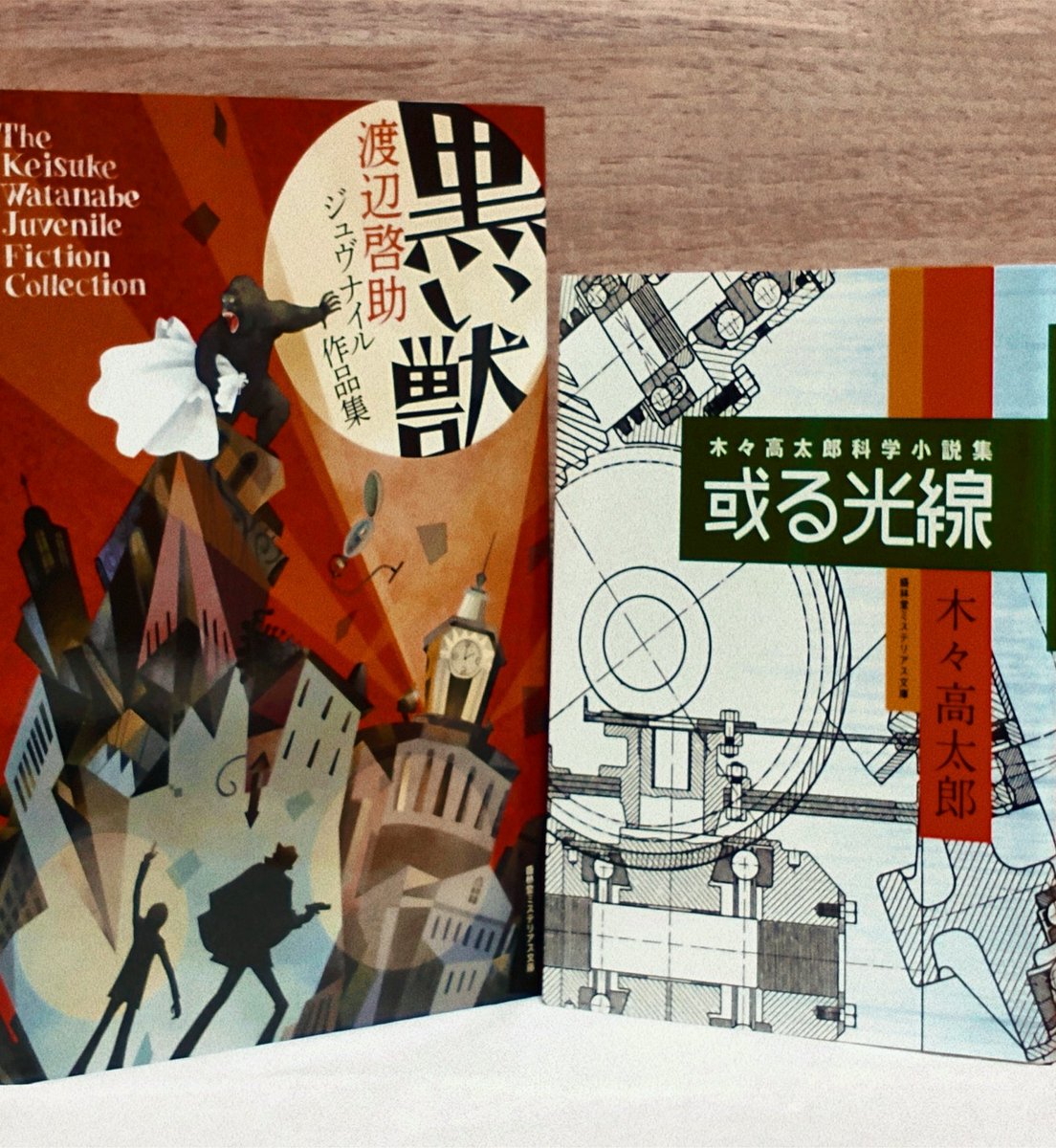 今日買った・届いた本を紹介する

盛林堂書房さんのネットショップにて
レトロな雰囲気がとてもよい
YOUCHANの絵は最高やね👍👍

#盛林堂書房
#盛林堂ミステリアス文庫
#読書垢 
#読書好きな人と繋がりたい