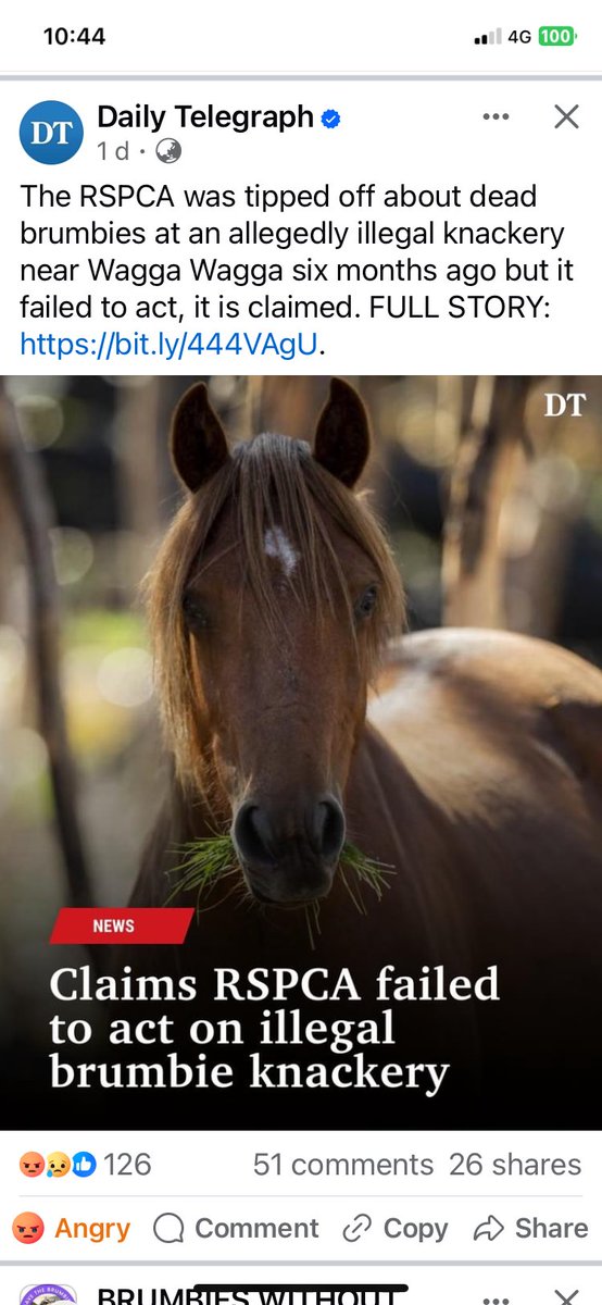 SaveOurBrumbies tweet media