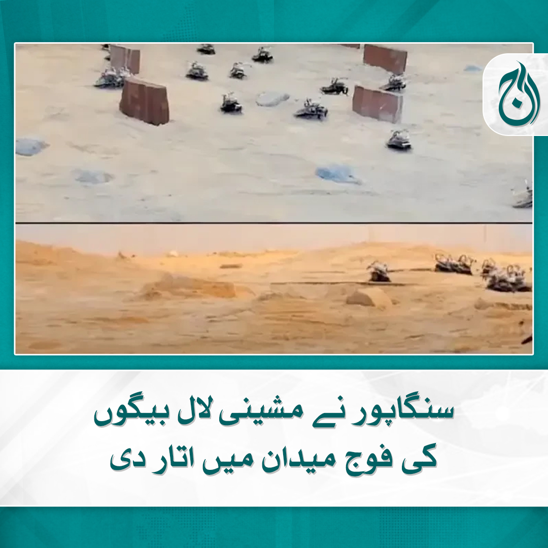 Aaj_Urdu's tweet image. ریتیلے علاقے میں یونٹ اتارا گیا، مشینی کاکروچ احکام کی تعمیل کرتے گئے، کیکڑے تیار کرنے کا بھی منصوبہ

مزید پڑھیے 🔗 aaj.tv/news/30381979/

#AajNews #cockroaches #Singapore #Technology