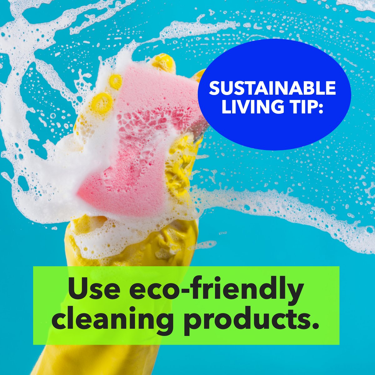 Your cleaning products 🧽️ can make a difference! 🌳 Always select eco-friendly cleaning products! 🧼️ Finding a list of products online is a click away! 🖱

#sustainablelifestyle #sustainable #sustainablity #sustainableproducts