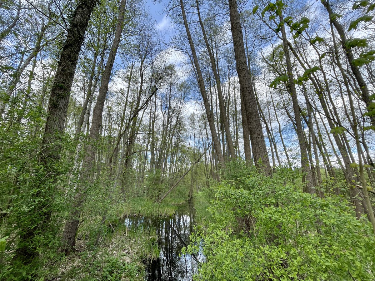 Escaped from the city for the weekend to get some calm & peace & nature in before the crazy summer season really kicks off in May. 🌿🌲 So nice out here. ॐ मणि पद्मे हूँ