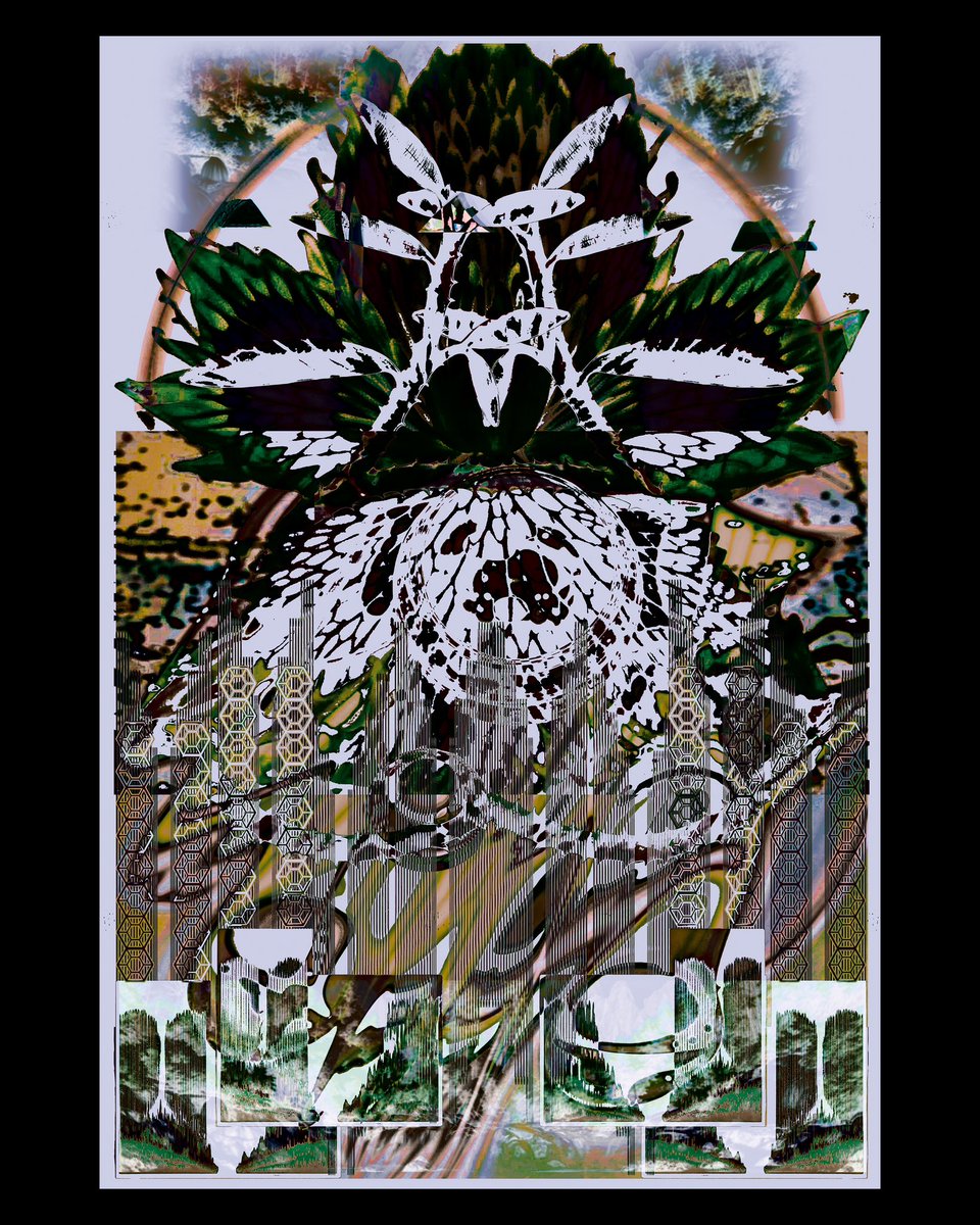 Victor Verhelst (@trippy__vegas) on Twitter photo 