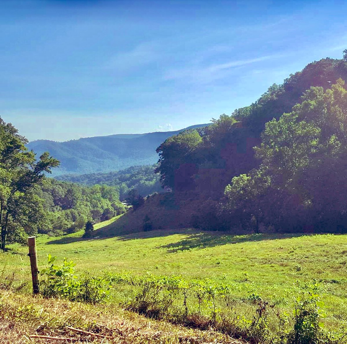 Good morning Appalachia and welcome to the most exciting day of the year for us! Today we’ll record our aural “State of Appalachia” podcast, on the mountain in Callaway, VA, which is turning into a bigger deal every year.