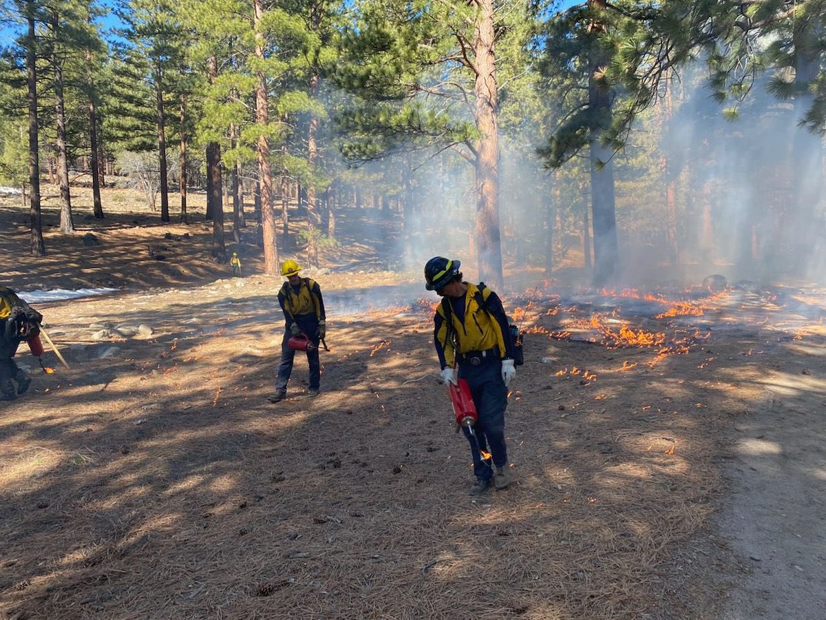 HumboldtToiyabe's tweet photo. #WhitesCreekRX- A total of 21 acres were treated, yesterday due to increased temperatures and fuel moisture contents lowering. #Fuels specialist and fire crews had to execute a well thought out plan utilizing their training and knowledge in this #UrbanInterface area. https://t.co/Oyxy86SBZn