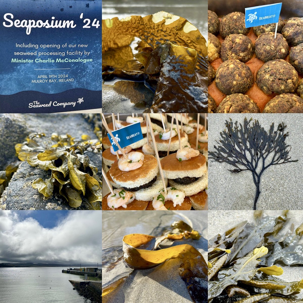 At yesterday's Seaposium in Downings Co. Donegal, organized by @TheSeaweedCo, I learned how seaweed-based food #seameat can lower the environmental impact & contribute to enhanced #Sustainability in #agriculture & in our food-system 🇮🇪🤝🇳🇱