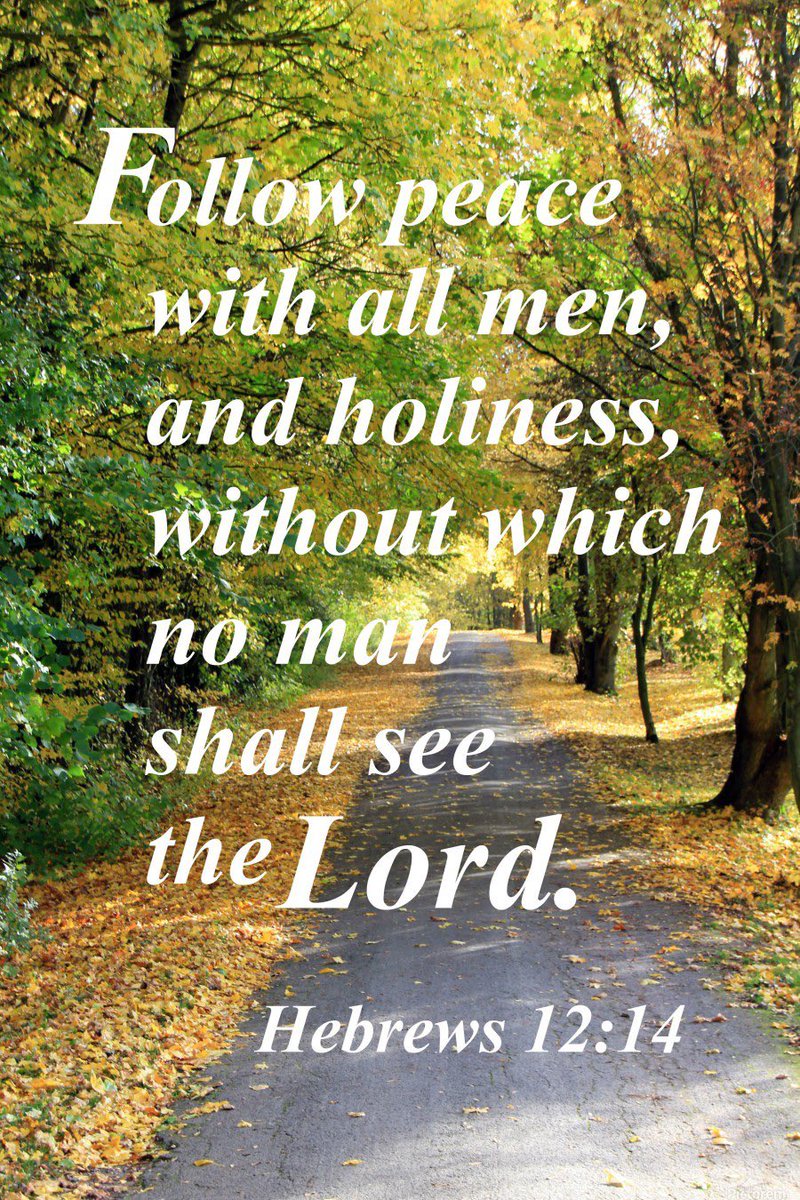 Good Morning Fishers of Men🪝✝️ Read Hebrews 12:14-17 Family matters. Both our earthly families and GOD’s family of believers. Hebrews 12:14 highlights a twofold pursuit: “Strive for peace with everyone, and for the holiness without which no one will see the Lord.” Dear GOD,